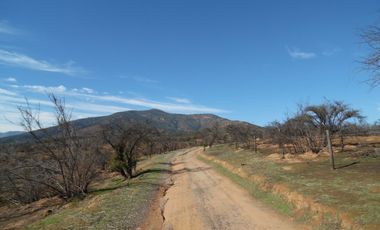 Quebrada Escobares,sector aguas Frias