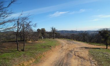 Quebrada Escobares,sector aguas Frias
