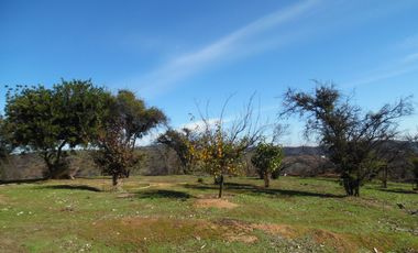 Quebrada Escobares,sector aguas Frias