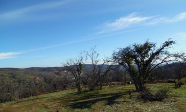 Quebrada Escobares,sector aguas Frias