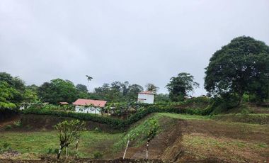 Vendo Terreno P. V. Maldonado Ala Vía Principal
