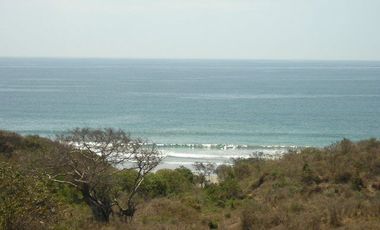 32 Hectáreas para Desarrollar con playa en Venta Petacalco T501