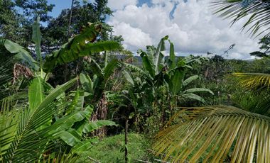 TERRENO 400 M2 CON CASA PARTE ALTA ZONA URBANA