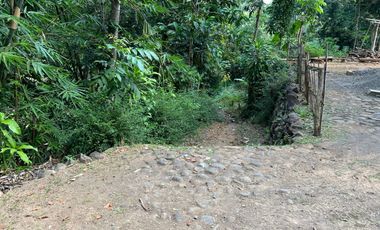 Tanah Dekat Aliran Sungai 3075m² Kerjo, Karanganyar