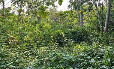 Tanah Dekat Aliran Sungai 3075m² Kerjo, Karanganyar