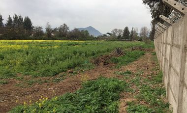 VENDE TERRENO PLANO, PAINE, EXCELENTE UBICACION Y ACCESOS