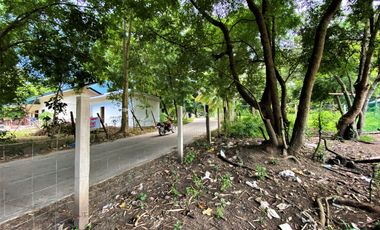 Commercial Lot for Sale in Dumaguete City