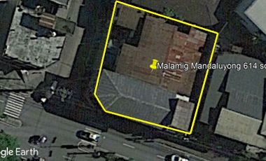 BONI AVENUE MANDALUYONG CITY COMMERCIAL LOT @ 614 SQ.M FOR SALE