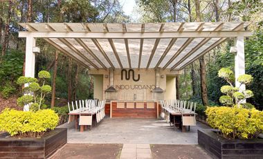 Departamento en Renta o Venta en Lomas de Bezares en Reforma Lomas Altas