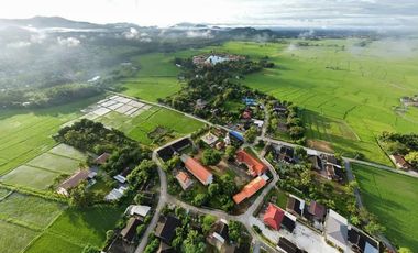 12 Rai of rice paddy field for sale in Doi Saket