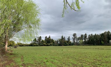 Se vende parcela agrícola 3,59 ha en Pelarco