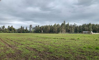 Se vende parcela agrícola 3,59 ha en Pelarco