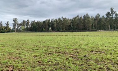 Se vende parcela agrícola 3,59 ha en Pelarco