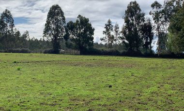 Se vende parcela agrícola 3,59 ha en Pelarco