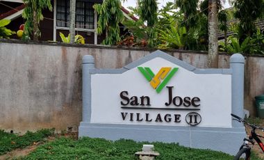 VTG - FOR SALE: 10 Residential Lots w/ Old House in San Jose Village, Biñan, Laguna