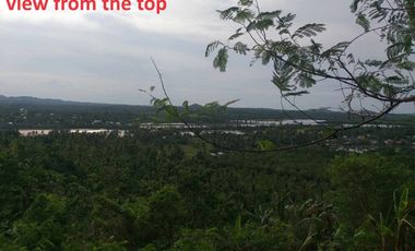 For Sale 13,437 Overlooking Lot in Ubay, Bohol