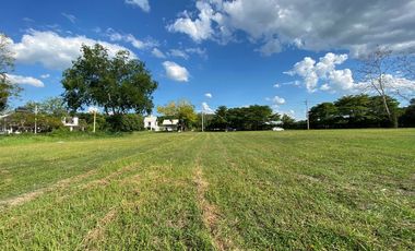 Land for Sale in Mae Sa, Mae Rim District, Chiang Mai