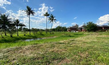 Land for Sale in Mae Sa, Mae Rim District, Chiang Mai