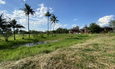 Land for Sale in Mae Sa, Mae Rim District, Chiang Mai