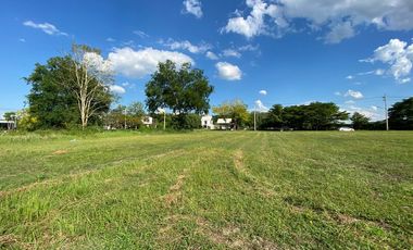 Land for Sale in Mae Sa, Mae Rim District, Chiang Mai