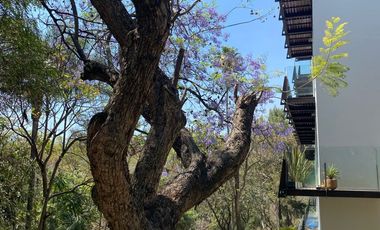 VENDO EN CUERNAVACA DEPARTAMENTO MUY AMPLIO, MAGNÍFICA UBICACIÓN, SEGURIDAD 24/7