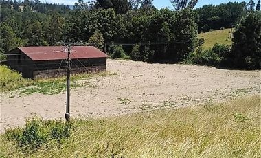 PARCELAS CERCANAS A PAILLACO A UN COSTADO RUTA 5 SUR