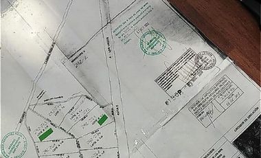 PARCELAS CERCANAS A PAILLACO A UN COSTADO RUTA 5 SUR