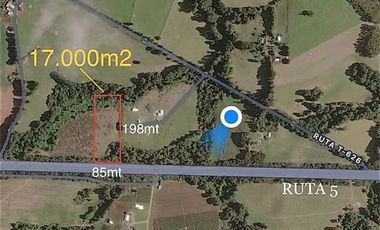 PARCELAS CERCANAS A PAILLACO A UN COSTADO RUTA 5 SUR