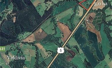 PARCELAS CERCANAS A PAILLACO A UN COSTADO RUTA 5 SUR