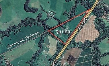 PARCELAS CERCANAS A PAILLACO A UN COSTADO RUTA 5 SUR