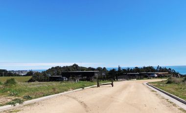 Espectacular vista al mar en Punta De Lobos