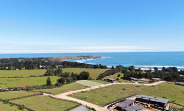 Espectacular vista al mar en Punta De Lobos