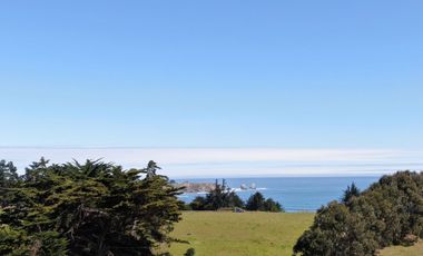Espectacular vista al mar en Punta De Lobos
