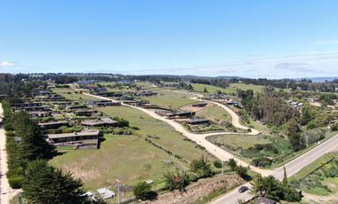 Espectacular vista al mar en Punta De Lobos