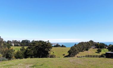 Espectacular vista al mar en Punta De Lobos