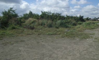 Lot For Rent in Paranaque