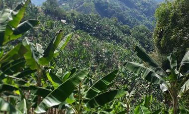 Finca para la venta en Balboa
