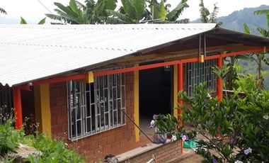 Finca para la venta en Balboa