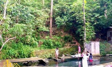 Agri Farm Lot with Natural Spring Water Ligao City for Sale