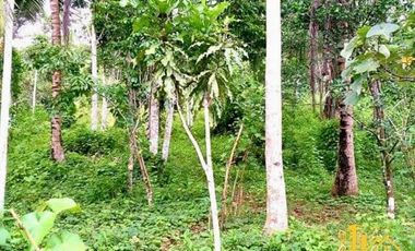 Agri Farm Lot with Natural Spring Water Ligao City for Sale