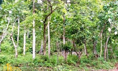 Agri Farm Lot with Natural Spring Water Ligao City for Sale