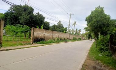 Industrial Lot For Sale in Compostela,Cebu