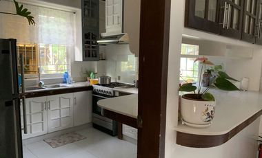 HOUSE AND LOT FOR SALE IN DUMAGUETE ID 14777