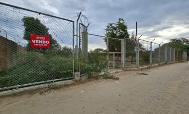 ¡¡OPORTUNIDAD UNICA!! VENDO TERRENO  EN LOS COCOS DE LOS EJIDOS, PIURA