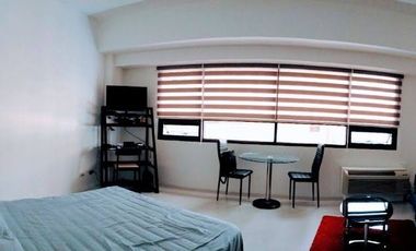 Icon Residences Studio-type Furnished for SALE in Taguig
