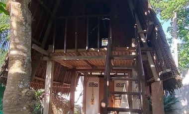 For Sale! 1,400sqm Lot with 2 Houses & 5 Individual Bungalows (Resort) in Daorong, Danao, Panglao I BOHOLANA REALTY