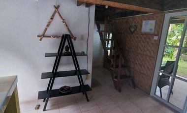 For Sale! 1,400sqm Lot with 2 Houses & 5 Individual Bungalows (Resort) in Daorong, Danao, Panglao I BOHOLANA REALTY