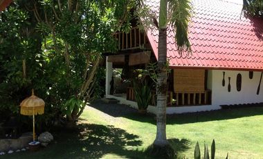 For Sale! 1,400sqm Lot with 2 Houses & 5 Individual Bungalows (Resort) in Daorong, Danao, Panglao I BOHOLANA REALTY