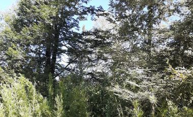 Parcela en condominio urbanizado