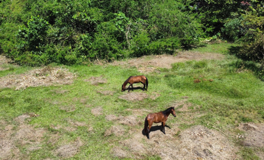 ¡Finca de ensueño! 6 cabañas, piscina, cancha de pasto sintético y acceso al río. ¡No te pierdas esta oportunidad!